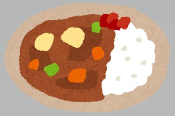 ６年 カレーライス 単元計画19 主人公の感情の揺れ動きを基にした読書感想文の書き方 国語科 小学校社会ノマド 小学校社会科授業 指導案データベース