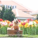 ★建物も素敵だから♪★