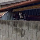 ピン！とくる。