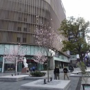 2025年03月 春の広島行き 1/2