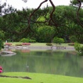 5月末の六義園と旧古河庭園Ⅱ