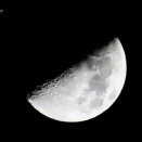 月曜の夜。上弦の月がきれいだったので・・・。