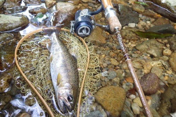 恐羅漢と大山ばっかりなんですが 渓流釣り