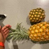【ハワイのパイナップル】マウイゴールドとドール食べ比べてみた！