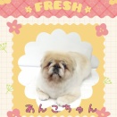 ＪＡＭにご来店♪