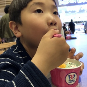 怪奇現象 伊良湖のハエ１００匹