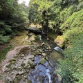 不思議な道に遭遇