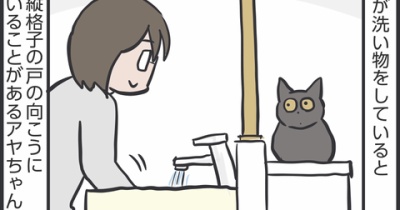 めずらしい猫パンチ