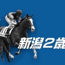 新潟２歳Ｓ(G3)データ解析