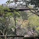 あきる野市　黒茶屋　リターンズ