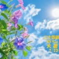 暦‐2026年7月23日