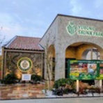 旅は哲学ソクラテス