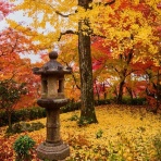 すらるど - 海外の反応