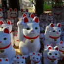 史跡サークルで　世田谷区へ