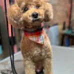 お客様のご紹介