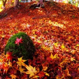 『2025『越畑ふるさと村』哀愁漂う風景❹ 岡山県苫田郡鏡野町』の画像