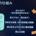 自宅で心身メンテナンス　男性のヘナ