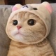 メイクイーン買ってるやつおる？