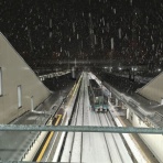 店長の犬猫な日々　山形ペットショップ　店長　ブログ