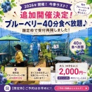 【急遽決定！】ブルーベリー40分食べ放題、限定枠で受付再開のお知らせ