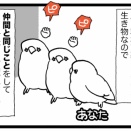 👩🦜🦜みんなで一緒に食べるご飯 美味しいね