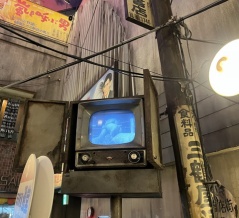 Beat USA！！！リキパレスからどんな星が見えましたか…？［５］
