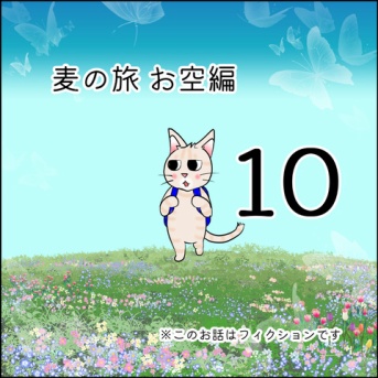 麦の旅お空編１０