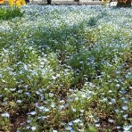 明るい老後製作所♪