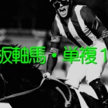 『(日)◎鉄板軸馬』の画像