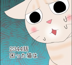 あんこ＆麦2344 困った猫は