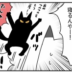 猫の名はポル⑲