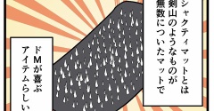 『シャクティマット』って本当に効きます…？？