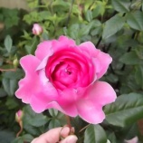 『一番~♪』の画像