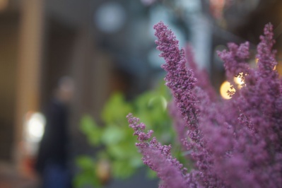 EBC FUJINON-W 35mm f1.9(M42) : 会計士によるバリューアップ クラカメ趣味