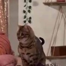 彼女の前でベッドメイクを始めた。少しは手伝ってくれるかな？ → こうなります…