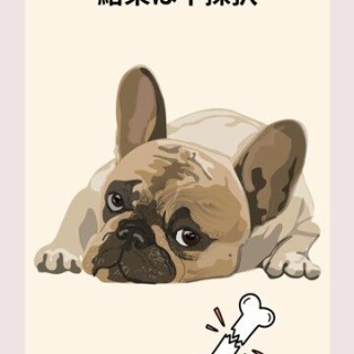 米国ナースプラクティショナー（DNP）になるために