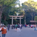 明治神宮　晩秋