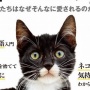 「ネコなぜそんなに愛されるのか？」 ネコ語から猫の気持ちから猫の全てを解析した書籍『ネコ全史』が登場！　さっそくAmazonベストセラーに！