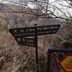 バテバテ山日記