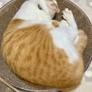 この口元