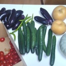 土260909  野菜が届いた