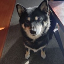 12月休みと年末年始の予定