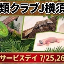 【7/25.26はサービスデイ！おすすめ生体一部紹介】