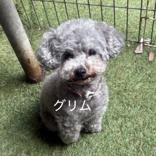 NPO法人ペット里親会