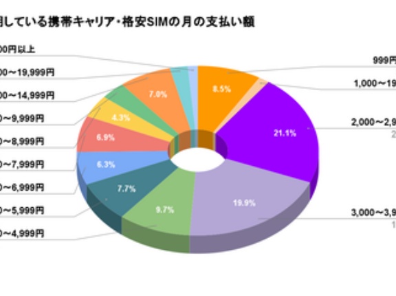 毎月の携帯料金が1万2000～3000円なんやが携帯料金に自信ニキ助けてくれ