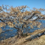 『ポタリングショット、2026. 2. 2』の画像