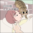 あんこ＆麦2399 そのとき猫は