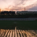 帰京