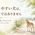 警戒しやすい子は、悪い子ではありません