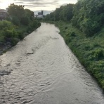 府中団地自治会